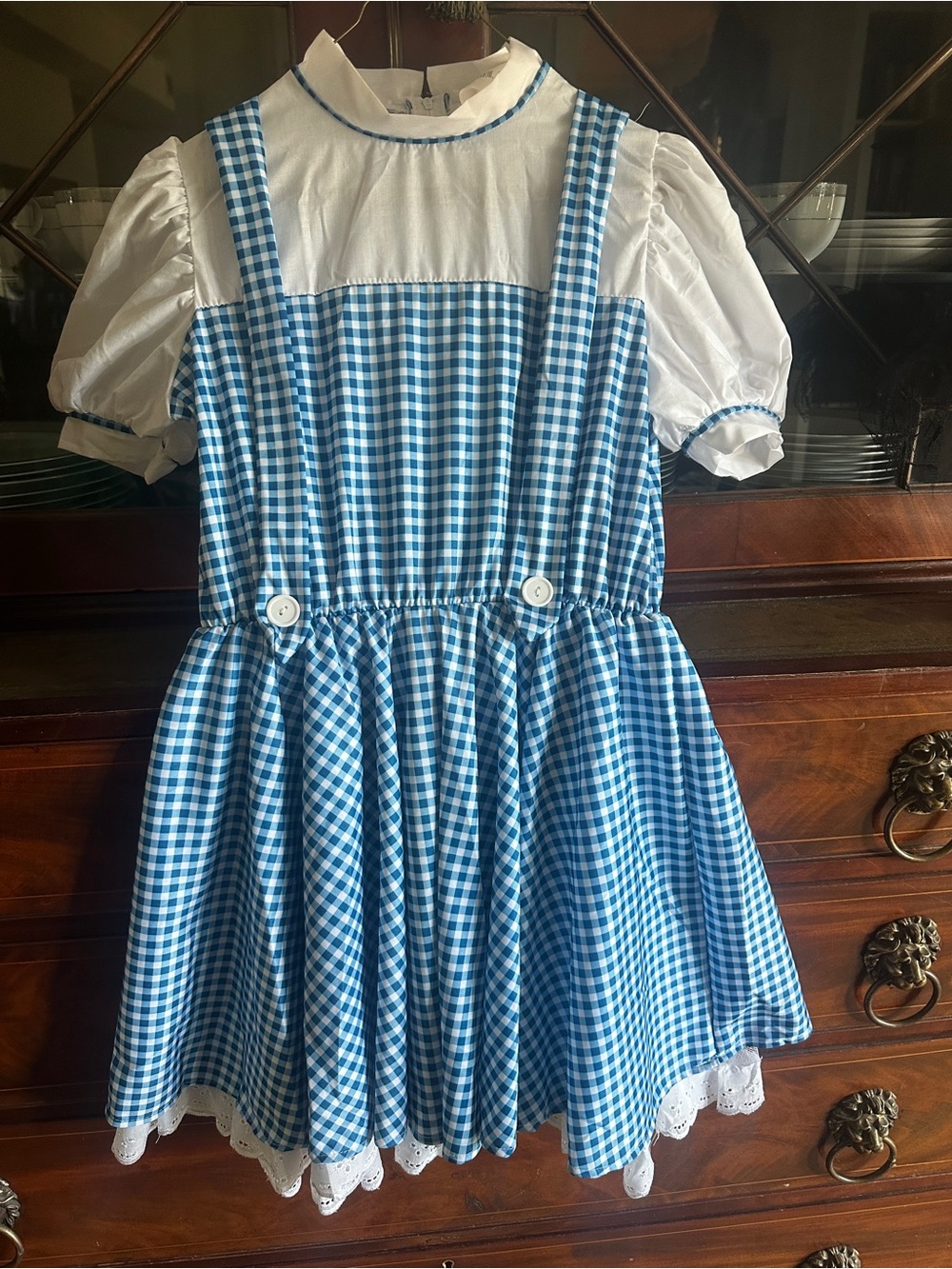 Dorothy dress costume - worn for less than 2 hours for a hoco theme